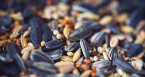 Nutrition & Diet Plans: A Roadmap to a Healthier You